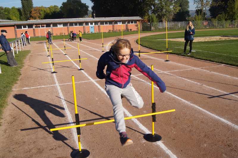 tl_files/dualingo_neu/News 2015 2016/Sportfest_2.JPG